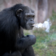 Photos: AP Photo/Wong Maye-E